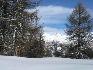 sullo sfondo:Rognosa d'etiache