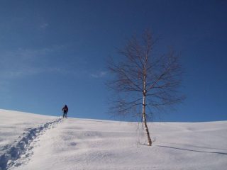 verso La Bassa