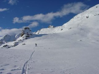 Il colletto che precede la dorsale finale
