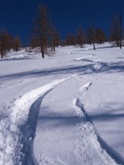 discesa nel lariceto