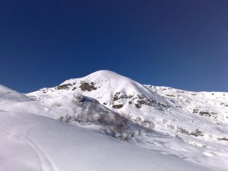 Il Bo in lontananza