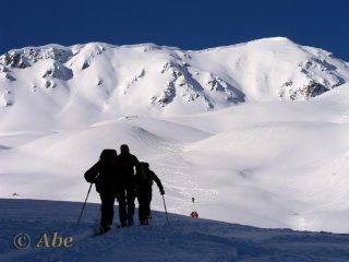 Verso la parte alta.