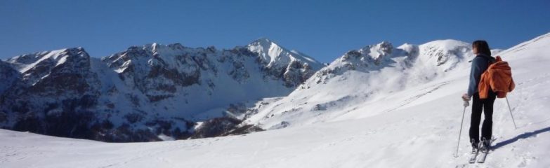 Uno sguardo verso l'antoroto