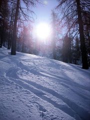 la bella farinella nel bosco.....ottima!!!!