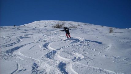 Carlo in azione
