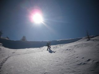 Super al lavoro 