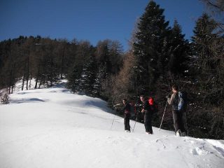 dorsale ariosa
