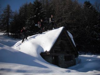 il nuovo forest Palla