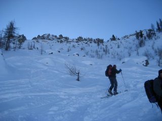 fuori dal bosco