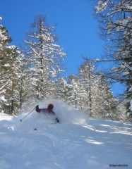 semplicemente senza senso