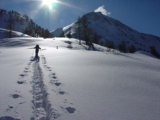 Trincea