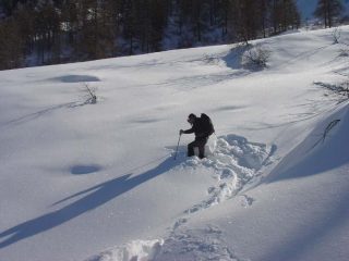 Gran lavoro