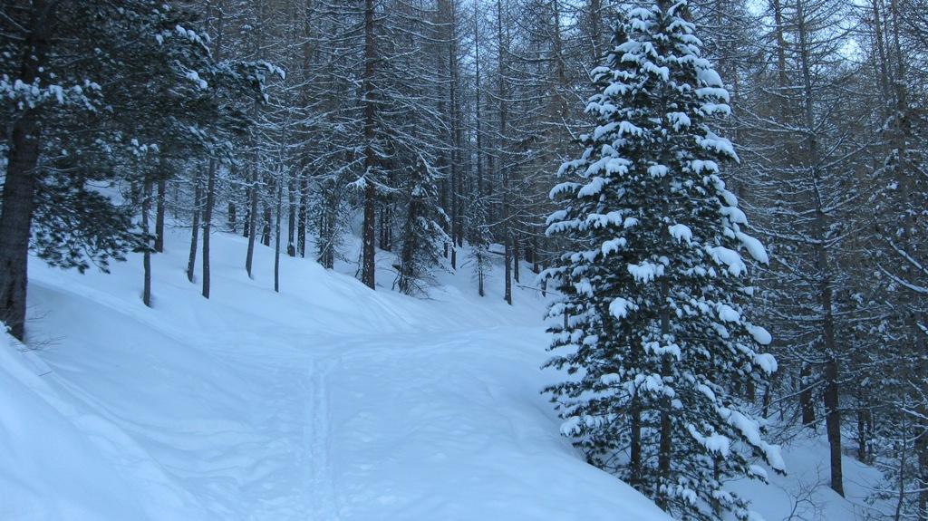 Inizia la salita....