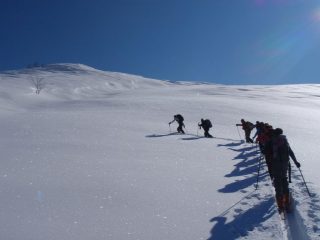 Trenino in battitura