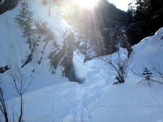 boarder cros