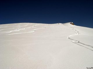 gran farina