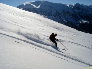 loschi figuri