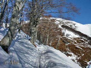 Salendo poco dopo l'Alpe Loccia