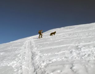 verso la cima