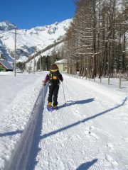 lungo la strada sul Pian della Mussa 