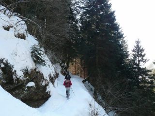 Rientro dalla tagliafuoco