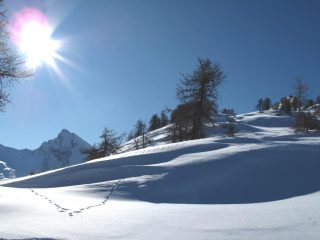 Prato di Fiera