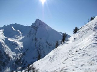 Francais Pelouxe