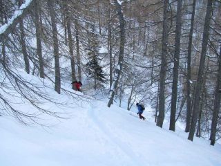 tratto ripido nel bosco..
