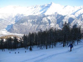 tratto ripido fuori dal bosco.....