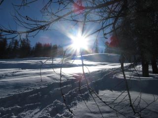 in salita