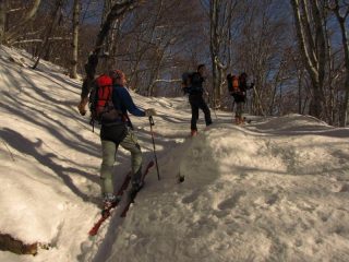 nel sentiero x l'alpe di nono
