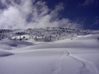 Il Cimonasso in POLVERE!