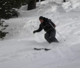 Loris in action!