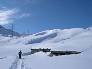 Nei pressi della Malga Citrin Superiore