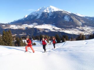 All'inizio nel bosco