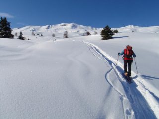 in alto sulla sinistra la meta
