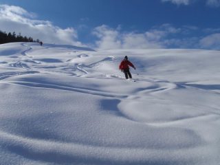 in discesa all'inizio del bosco