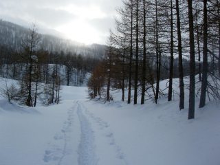 Traccia profonda