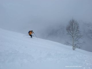 neve da urlo