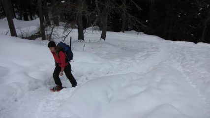 Maria Carla sale nel bosco (14-2-2010)