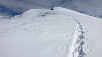 e finalmente spunta la cima