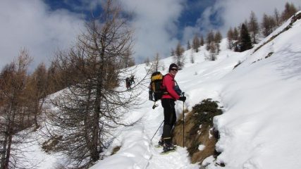 appena fuori dal bosco, sul versante Sud (14-2-2010)