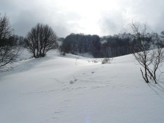 Parte finale del pendio Nord-Ovest