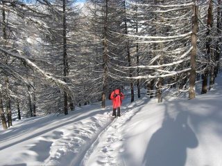 SERGIO IN SALITA
