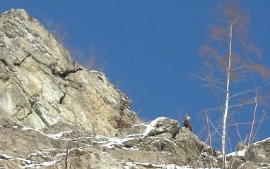 Qualcuno da lassu' ..osserva !