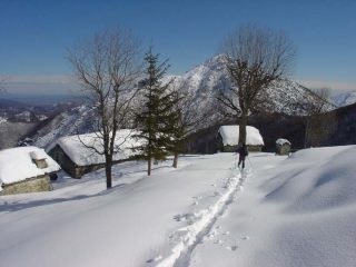 Alla Casa Bianca