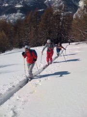 Uscita dal bosco