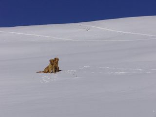 Si sono messi in posa