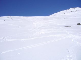 Crostone accettabile