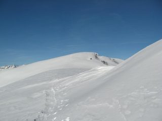 Verso il Conet